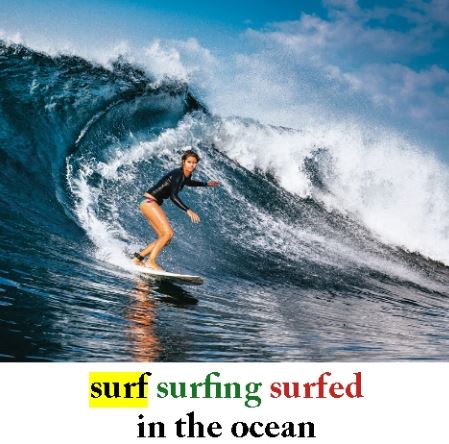 Surf